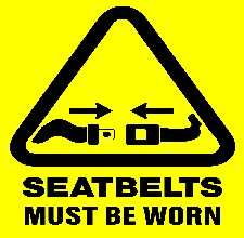 Seat Belt